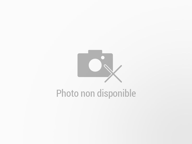 BYD Dolphin d’occasion à vendre à VALENCE