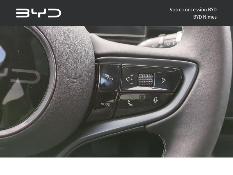 BYD Seal d’occasion à vendre à VALENCE chez GM LUX (Photo 14)
