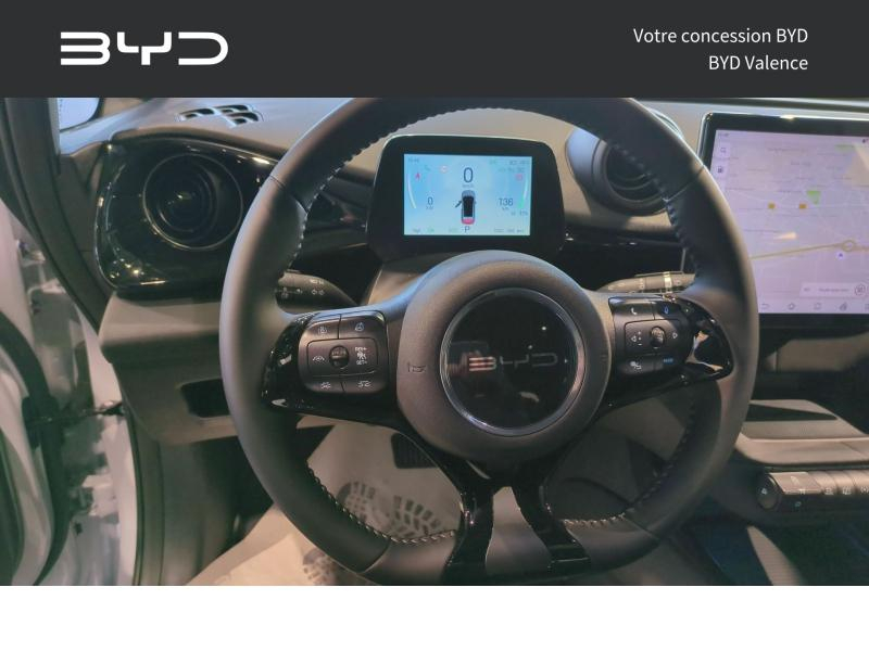BYD Dolphin d’occasion à vendre à VALENCE chez GM LUX (Photo 8)